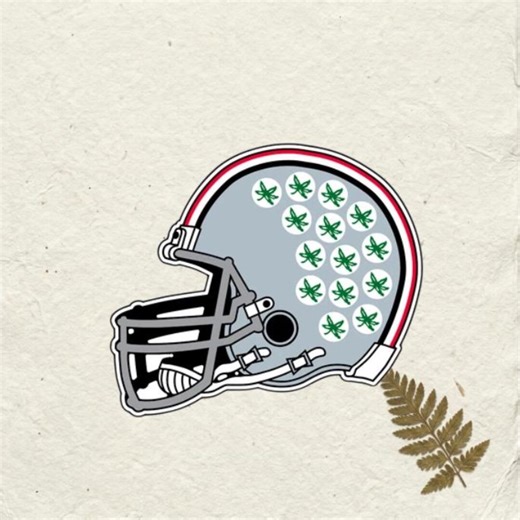 Ohio State College Style Buckeye Helmet Sticker Waterproof Vinyl Decal Laptop Car Bottle Durable Fan Gift - Etsy