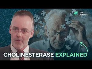 How Effective Are Cholinesterase Inhibitors and Memantine in Alzheimer’s?