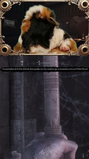 HIDDEN RAT | HUNT SHOWDOWN 1896 | PUI PUI PUI PUI