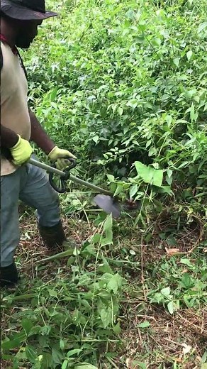 How to Use a Grass Cutter | Easy Beginner Guide 🌱🔥