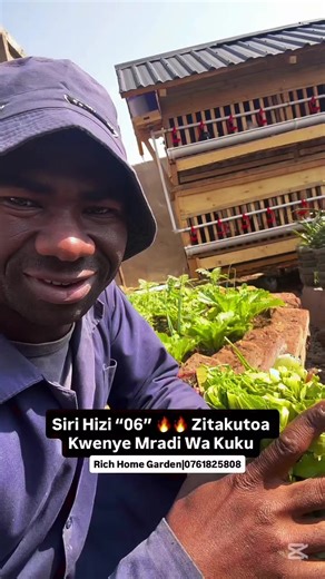 @Profitable Farm limited