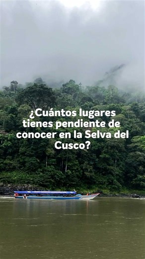 ¿Ya conoces la selva del Cusco? #quillabamba #cusco_peru🇵🇪 #pongodemainique🦜🌴🌴🦜 | Quillabamba Travel