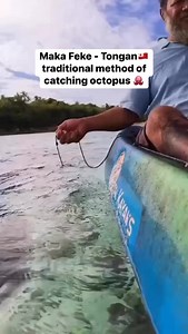 16K reactions · 478 shares | Maka Feke - Tongan traditional method of catching octopus #MakaFeke #Tonga #Trending #ViralVideo #fyp #fblifestyle | Louis Ova | Facebook