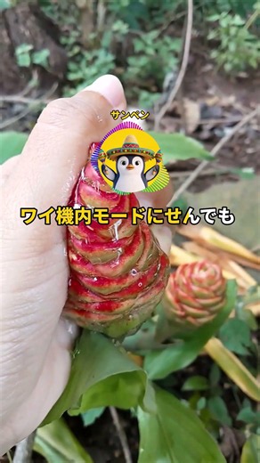 今から24時間着信がなかったら3000万