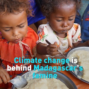 Several United Nations agencies are warning that the climate crisis is exacerbating the famine in Madagascar. Half a million children are acutely malnourished, while the southern region requires emergency food aid. Rainfall patterns are growing more erratic, making food growth and production more difficult for the island’s population. Here are some of the latest scenes. | CGTN America