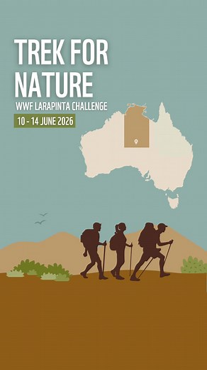 Discover the heart of Larapinta Trail alongside a group of nature lovers just like you! Every kilometre you hike, and every dollar you raise, helps to support habitat restoration and protect threatened species. Don’t miss out! Save $150 when you register for the Trek for Nature before 22nd November. Step up for nature today! 💚 | WWF-Australia