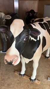 Holstein Association USA had the pleasure of attending Fort Atkinson’s Dairy History Day and the unveiling of Fort Atkinson Area Chamber of Commerce's cows on Parade in Fort Atkinson, Wisconsin this past Saturday at Hoard's Dairyman! The parade will feature the 7 different breeds of dairy cows around the community at local businesses, helping to tell the story of Wisconsin’s vibrant dairy heritage! Holstein Association USA is proud to sponsor the Holstein statue crafted in the likeness of the 19