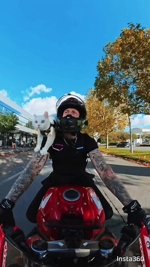 Exploring France on Two Wheels: A Motorcycling Adventure