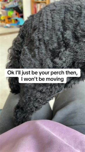 The Mental Unload - Mum Life (@thementalunload)’s videos with Me and The Dog - Sam Fender