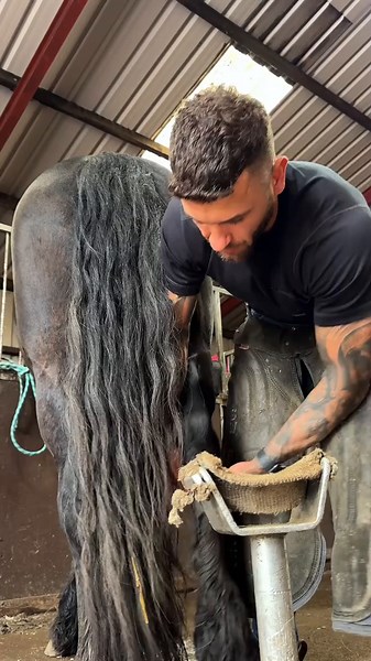 Satisfying ASMR with Horses: Relaxing Riding Sounds