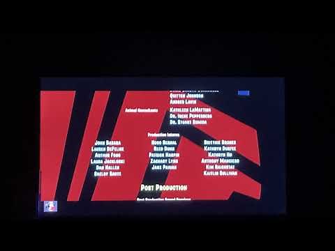 Closing to Rio 2011 DVD
