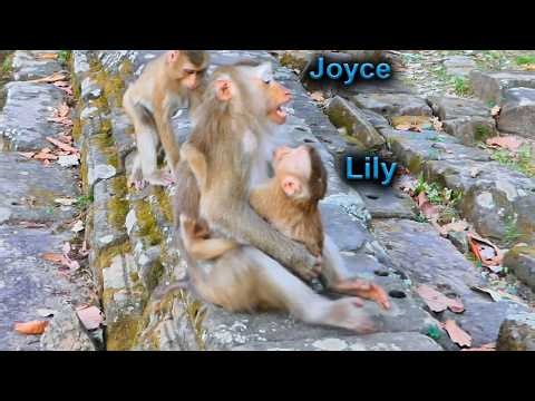 Libby's family update! Lily finds out that Levy isn't coming back! Joyce tries to hug & comfort her
