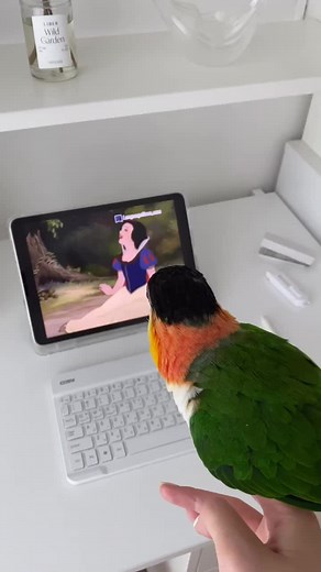 Are Parrots Smart? Discover the Intelligence of These Amazing Birds