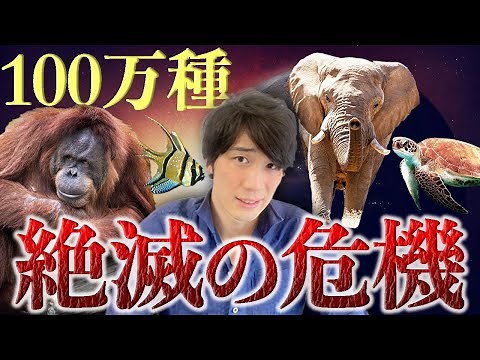 【生物多様性➁】第六の大量絶滅期?!なぜ100万種が絶滅の危機にあるのか？