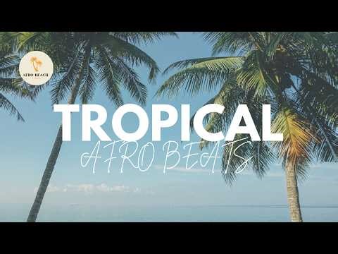 Afro Beach Vibes 🌴 | Lo-fi Tropical Mix | Chill Study & Cafe Music | 30 Min Relaxing Beats