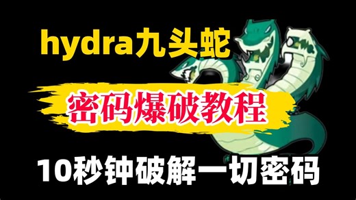 【2026最新版本】最新Hydra爆破教程，十分钟手把手教会，非常简单！密码爆破，指令解析，黑客入门，Hydra下载，Hydra安装【附安装包】