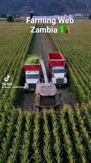47K views · 754 reactions | Wow  this mechanised farming is epic ❤️ | Farming Web Zambia | Facebook