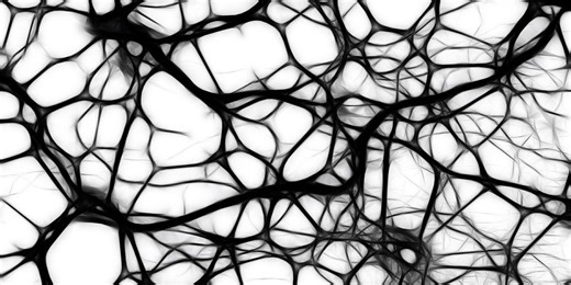 Increased Exercise at Midlife Reduce Alzheimer's Risk | Neuroscience