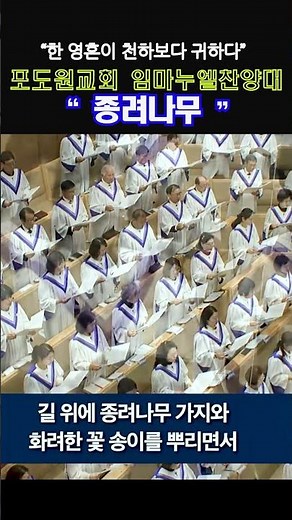 포도원교회 임마누엘찬양대 2026-03-29 찬양 - 종려나무 - Podowon Church Busan, Korea.