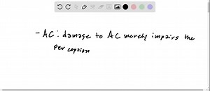 SOLVED:A. Explain how the ear starts the auditory process. B. Identify the different kinds of auditory perception.