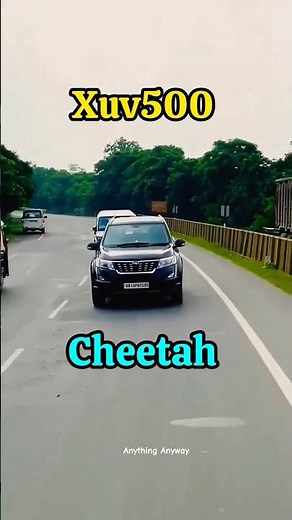 The Legendary XUV500 Cheetah😎!! #shortsfeed #shorts #mahindra #Xuv500