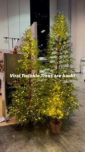 1.5M views · 220 reactions | The viral Twinkle Trees are officially restocked at Walmart — with brand new sizes and styles for every space. These always sell fast, so get yours before they’re gone again! #walmartpartner #walmartfinds #mytexashouse | Walmart Finds | Facebook