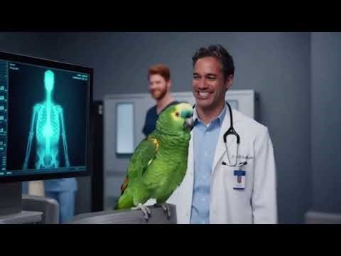 Parrot's Savage Comebacks Shut Down the Entire Courtroom 🤣