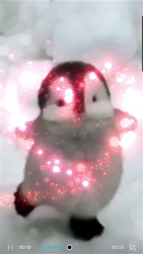 penguin edit i made myself in 40 minutes! #penguin #edit #shorts