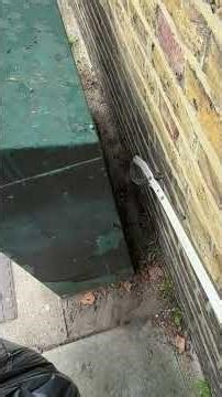 DAY 113 OF LITTER PICKING #dailychallenge #london #cleanup #rubbishclearance #litterpicking #day113