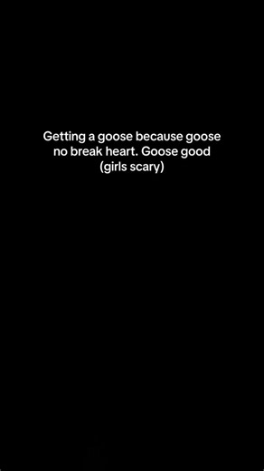 Gary the Goose: A heartwarming friendship story