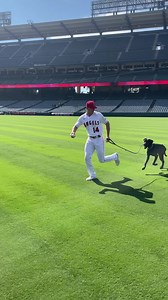15 reactions · 3 comments | The most precious thing you’ll see today! Cracker Jack, the @angels and adoptable pups! Tap the @aspca link in our bio to see more adoptable dogs! | Cracker Jack | Facebook