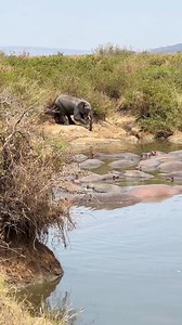 2K views | My favorite moment on safari in Tanzania ⬇️⁠ ⁠ While in...