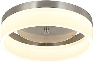 Smart Ceiling Light Fixture Compatible with Alexa and Google Assistant for Bedroom and Hallway, Dimmable and Color Temperature Changeable by App and Voice Commands,12 Inch No Hub Required