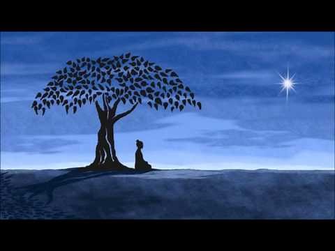 Guided Metta Meditation with Joseph Goldstein