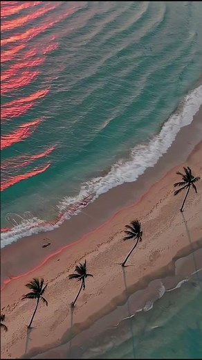 Calming Chill Music & Lo-Fi Beats - Music for Study, Work & Relax #relaxingmusic #chillmusic