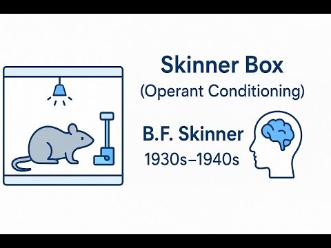 Skinner Box (Operant Conditioning) – B.F. Skinner Psychology Explained || बी एफ