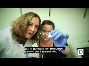 Regeneration Next: New Research on Regrowing Brain and Nerve Tissue | Duke Today