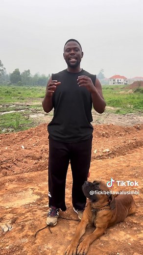 Fascinating Facts About the Boerboel Dog