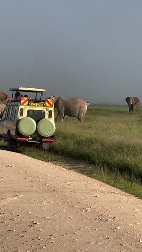 Explore Amboseli National Park: Unforgettable Safaris