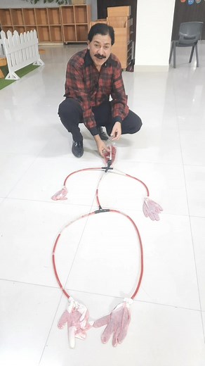 Circulatory system #reels #science #STEM #heart #followers #Education #oxygen @ [1914726562728334:49210:@highlight] | Asif Umer