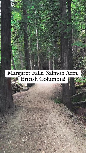 This beautiful waterfalls is located at Salmon Arm, British Columbia, Canada! Easy family , wheelchair family friendly hike it takes approximately 15 mins. To complete. You’ll feel very close to nature walking to this trail , gloomy forest, big cedar trees. #nature #naturephotography #naturelover #forest #waterfalls #trendingreels #weekend #salmonarm #britishcolumbia #canada #summer #september | Joemar Sombero