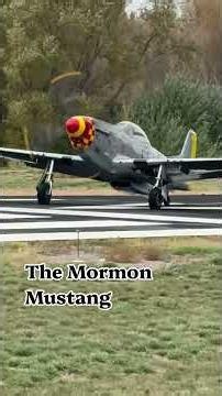 Dailey dose of V12 Mustang noise #vintageaircraft #airplane #fall #warbirds
