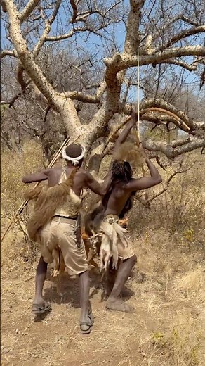 Deep in the wild..tracking monkeys through the trees with incredible traditional hunting skills.