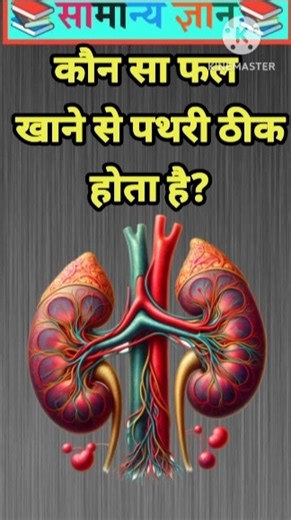 कौन सा फल खाने से पथरी ठीक होता है? #gkquestion #staticgk #gkfacts [ part-33 ]