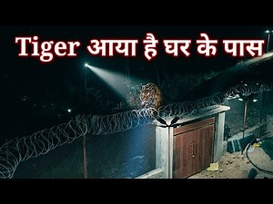 Tiger Attack in Jim Corbett | Real Wildlife Encounter | Audiobook | Discovery | Documentary in Hindi
