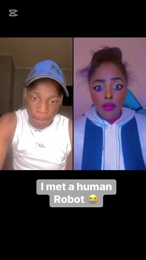 Exploring Human-AI Interaction with Neshan the Robot Girl