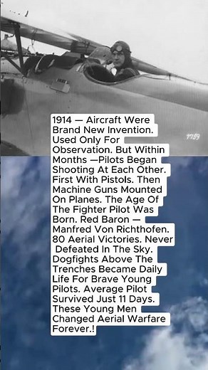 WW1 Air War: The Birth of Fighter Pilots That Changed War Forever #aircraft