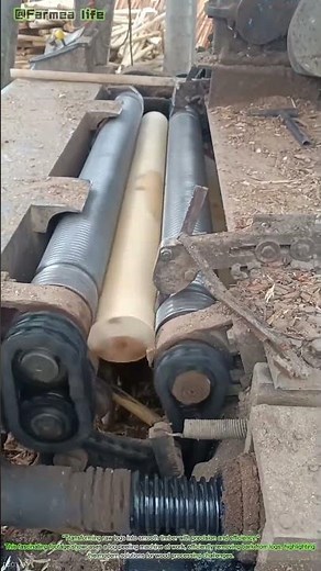 Log Peeling Machine in Action! 🌲🔧