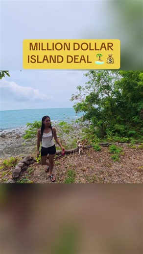 MILLION DOLLAR ISLAND DEAL 🏝️💰 #millionaire #realestate #island #investment #history
