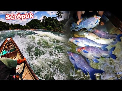 Serepok: The Mysterious River of Freshwater Monsters | 48H Hunt for the Fisherman's Escaped Giant...